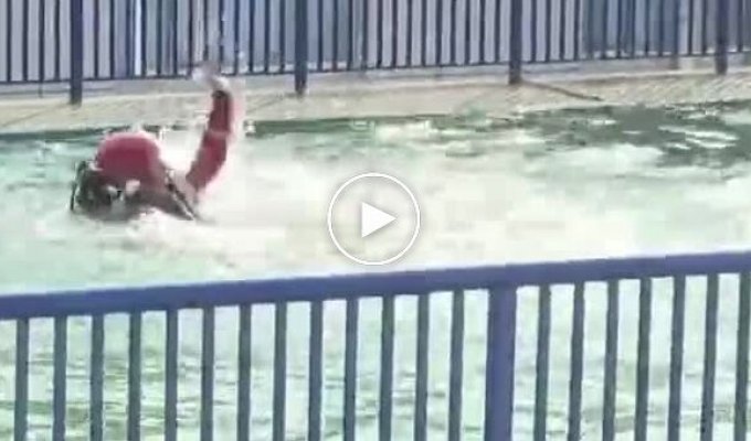 A Dog Rushed to Save a Man, but Changed Its Mind at the Last Moment