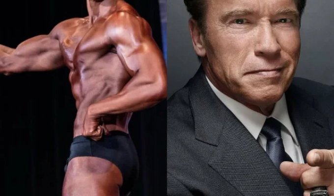 Schwarzenegger's son has won several victories at the NPC Natural Colorado State tournament (7 photos)
