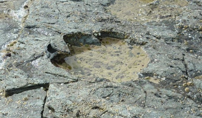 На острове Скай обнаружены следы крупнейших в мире динозавров (7 фото)