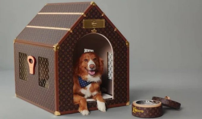 You Won't Believe How Much a Louis Vuitton Dog House Costs (3 photos)