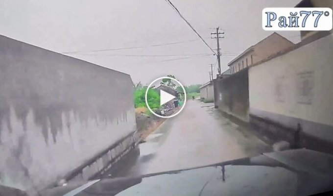Владелец с лопатой, гонясь за псом, чудом не угодил под машину