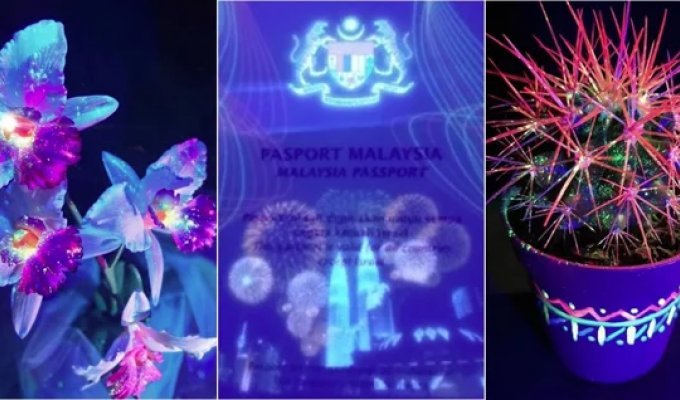 22 Photos Showing How the World Changes Under UV Light (23 Photos)