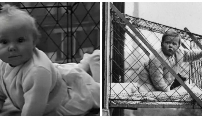 Children and their cages: a non-standard and controversial approach to child safety (9 photos + 1 video)