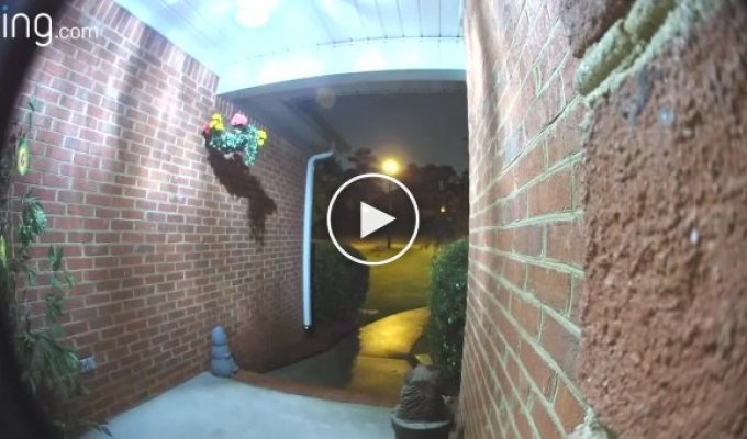 The man did not expect to see a snake near his doorbell