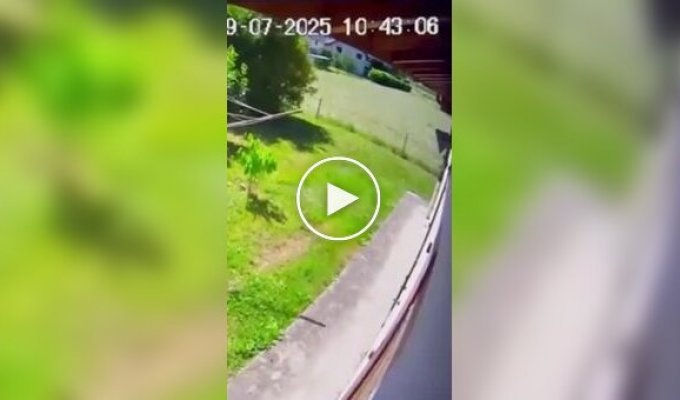 Самолет с туристами рухнул во Французских Альпах