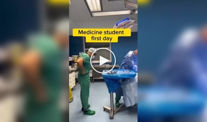 Первый день студента-медика на работе