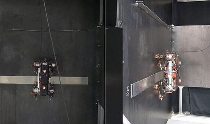 Scientists have developed a robops that can walk on the ceiling (5 photos + 1 video)