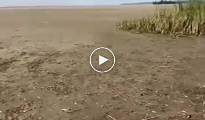 Через две недели после разрушения плотины в Новой Кахувке