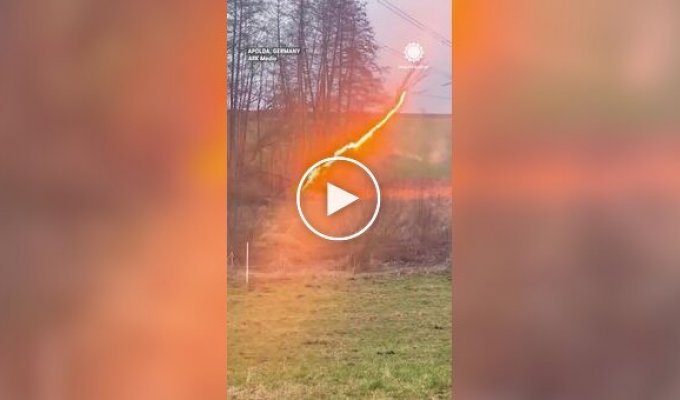 Tree pulsing with fire filmed in Germany