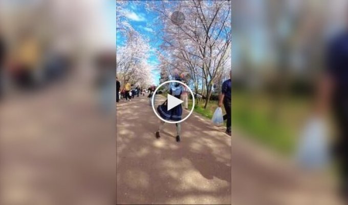 В Китае роботы тоже любуются цветением вишни: металлическая танцовщица отплясала среди деревьев