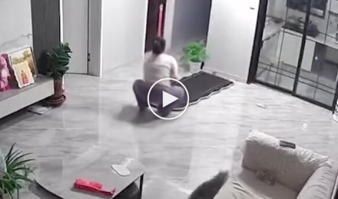Беременная женщина пострадала из-за падения зеркала, опрокинутого котом