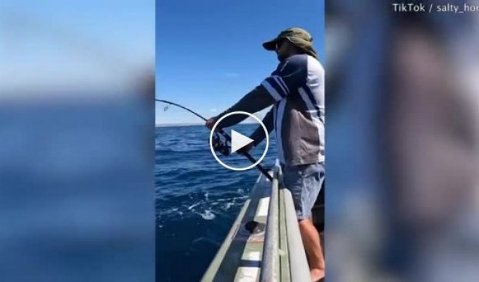 В Австралии рыбак поймал окуня, которого прозвали Кодзилла