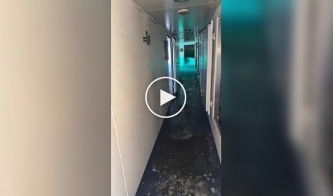 A Tourist Strolled the Corridor of a Sinking Ship
