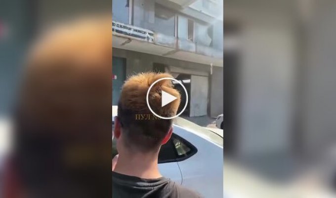 Воробей обосновался на голове китайца и отказался уходить