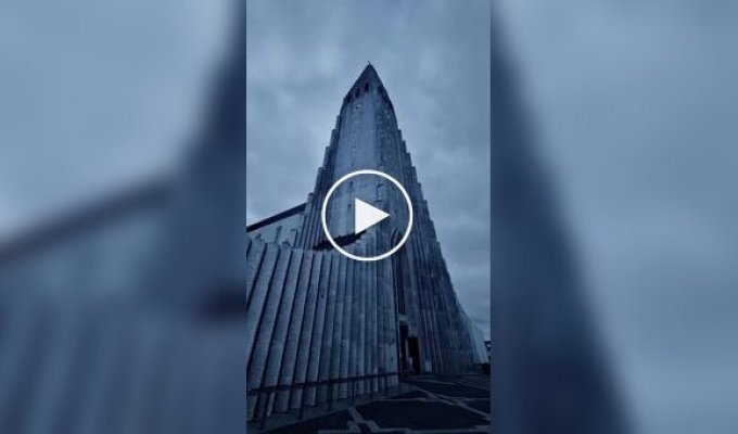 Красивое и удивительное (короткие видео). Выпуск 65