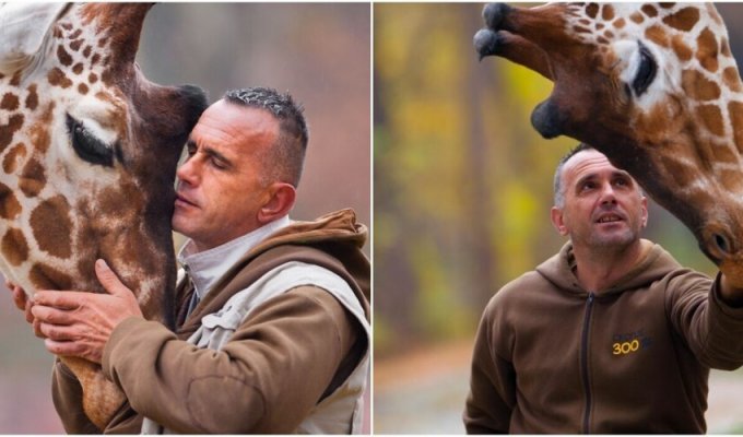 В Македонии скончался смотритель зоопарка и его любимый жираф (19 фото)