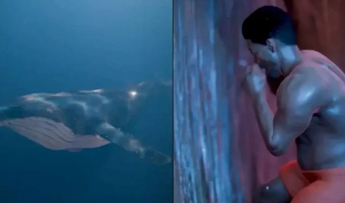 Scary simulation of what happened to a man who was swallowed alive by a whale (3 photos + 1 video)