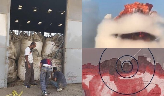 Во взрыве в Бейруте виноваты не петарды, а 2750 тонн аммиачной селитры (30 фото)