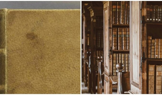 At Harvard, they removed the binding from a book made of human skin and apologized for inappropriate humor (4 photos)