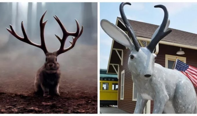 A Major Landmark in Douglas – the world capital of jackalopes (13 photos + 1 video)