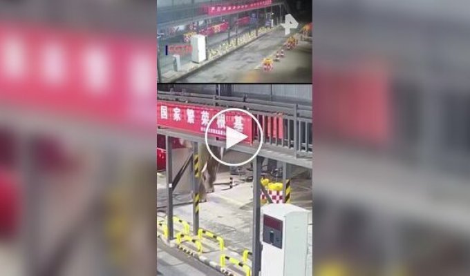 Слон налякав китайських прикордонників