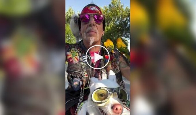 Американский байкер катается по городам вместе с псом и попугаями