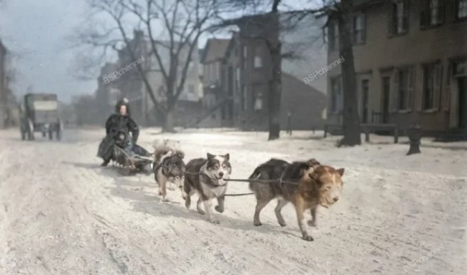 Винегрет исторических кадров прошлых лет. Выпуск 198