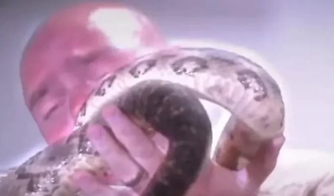 Everything didn’t go according to plan: the preacher teased deadly snakes to connect with God (3 photos + 1 video)
