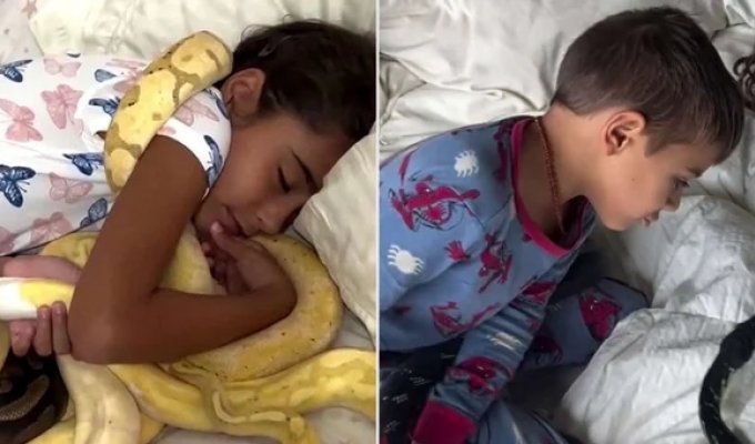 An American has 200 exotic snakes and allows children to sleep with them (6 photos + 1 video)