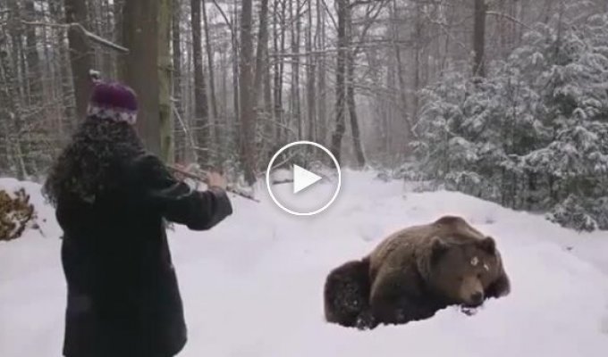 Убаюкала медведя