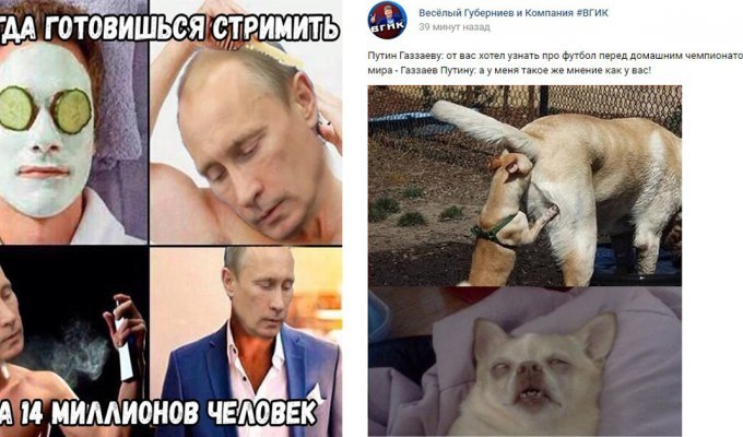 Прямая линия с Путиным 2017: самое смешное из соцсетей (19 фото)