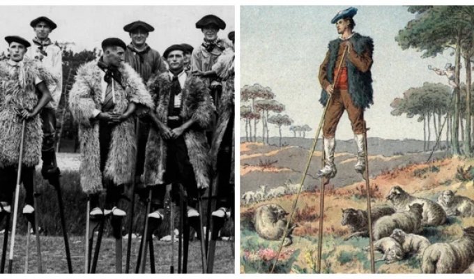 Люди на ходулях: как пастухи из французских Ланд обманули болота и вошли в историю (18 фото)