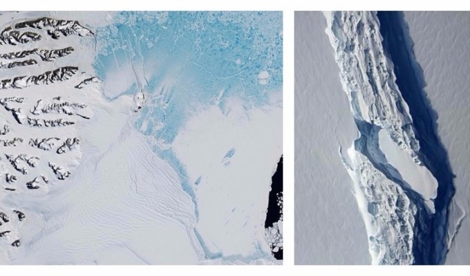 От Антарктиды откололся гигантский айсберг (9 фото)