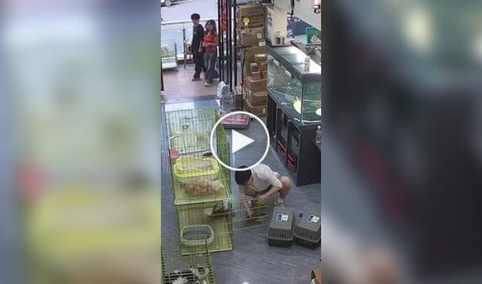 Эту битву он проиграл