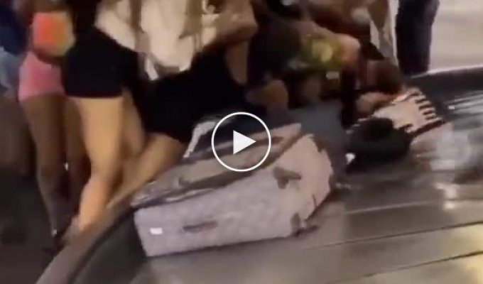 Стая обезьян напала на пассажиров в аэропорту. США
