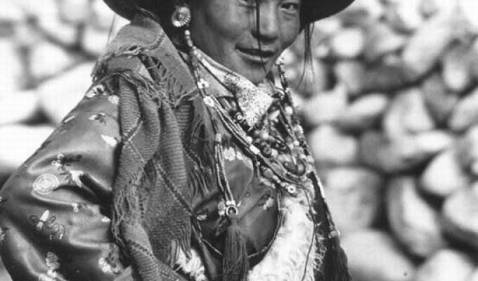 Тибетцы (16 фото)