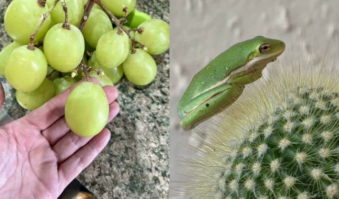 30 Fascinating Real-Life Photos That Need Zero Special Effects (29 photos)