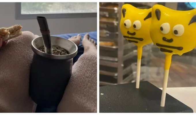 20 моментов, демонстрирующих шутки реальности (21 фото)