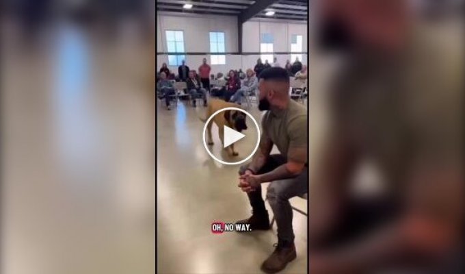 Пусть выберут сердцем: в США приют позволил животным самим выбирать хозяев