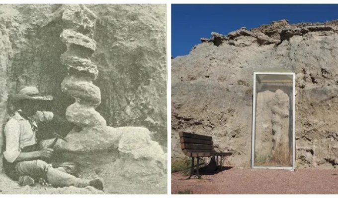 Чёртовы штопоры: тайна, которую миллионы лет скрывали недра Небраски (9 фото + 1 видео)