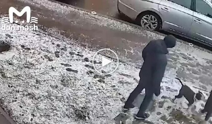 В России пес напал на девочку, которая выгуливала свою собачку рядом с домом