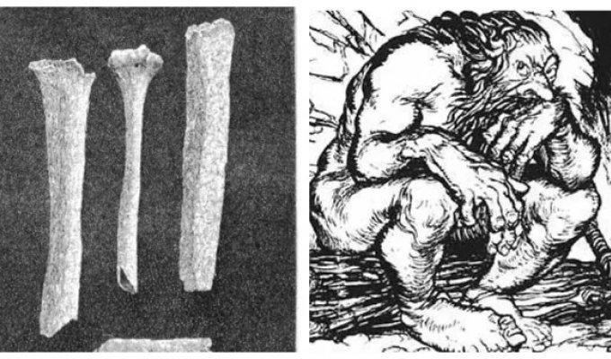 Великан из Кастельно – генетическая мутация или отголосок древней расы? (8 фото)