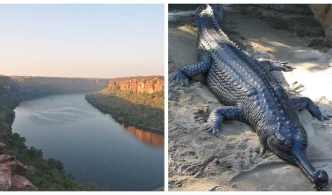 The Curse of the Beautiful and Dangerous Chambal River (7 photos + 1 video)