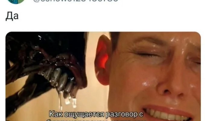 Подборка забавных твитов обо всем. Выпуск 788 (33 картинок)