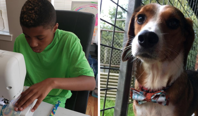 Мальчик-предприниматель нашел необычный способ помочь бездомным животным (9 фото)