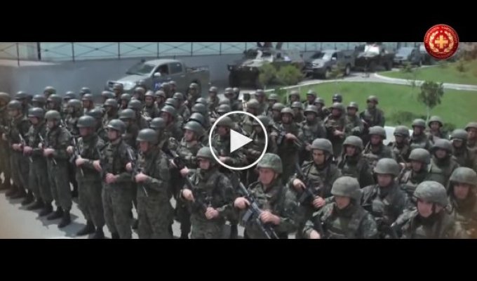 Волонтеры продолжили флешмоб-перекличку создав видео про армию Грузии