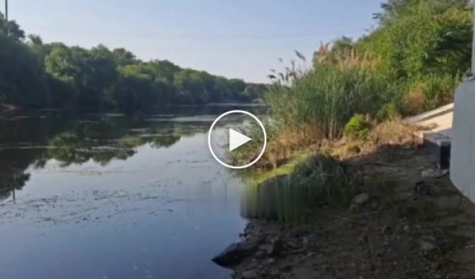 Уровень воды в Северо-Крымском канале начал падать