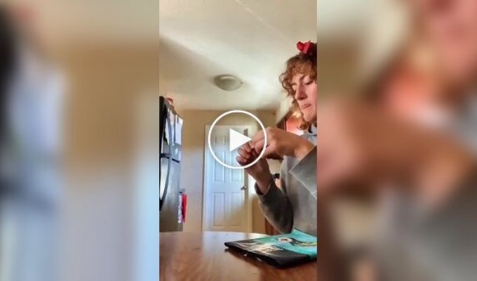 Рыжие пушистые воришки