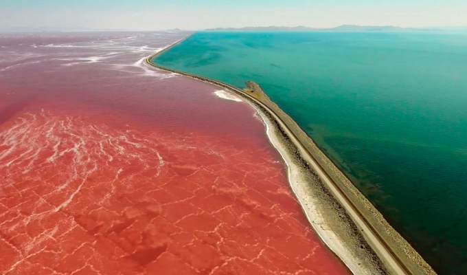 Сине-красное озеро: почему части Большого Солёного озера разноцветные? (3 фото)