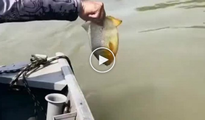 The guy went fishing and ended up finding a friend